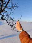 Pierre Lannier - Multiple női karóra - 009M628 - Órák