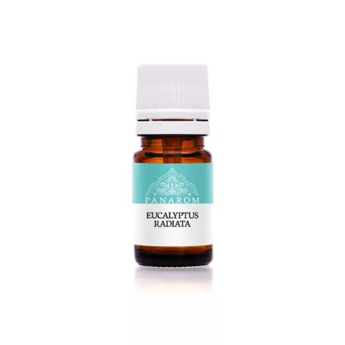 Panarom  Illóolaj Eucalyptus radiata / Eukaliptusz radiata illóolaj - Aromaterápiához és természetes wellnesshez