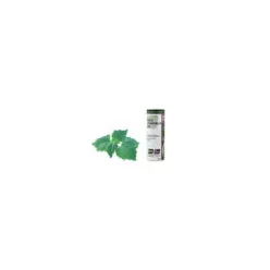 LA Illóolaj Pacsuli bio 10ml