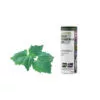 LA Illóolaj Pacsuli bio 10ml – Új termékek