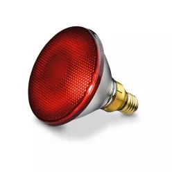 Izzó 150W (IL 21 / 35) Beurer infravörös lámpához - Bio és natúr kozmetikumok