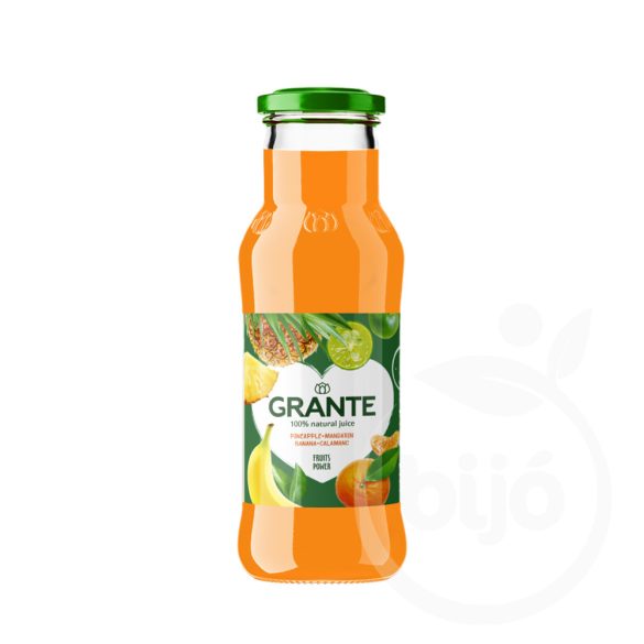 Grante multifruit juice 250 ml