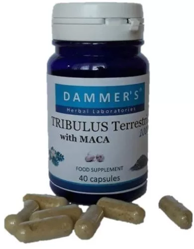 Dammers Tribulus Terrestris királydinnye kapszula 40 db - Bio és natúr étrendkiegészítők