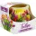 Illatmécses üvegpohárban tulipán 1db – iIllatgyertya