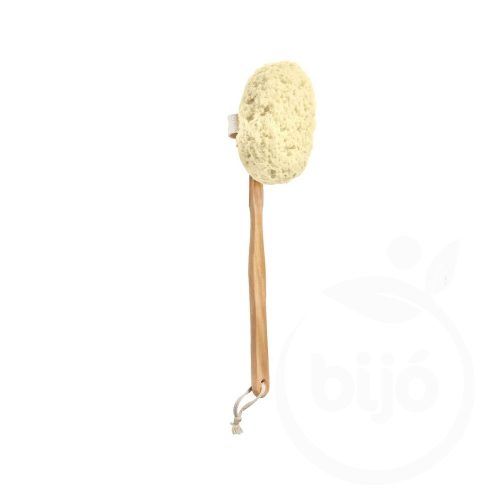 Donegal hátmosó szivacs 6036 1 db