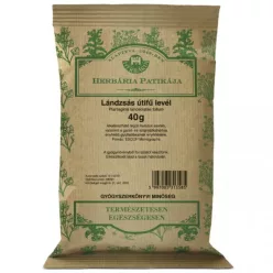 Herbária lándzsás útifűlevél tea 40 g - Bio és natúr élelmiszerek