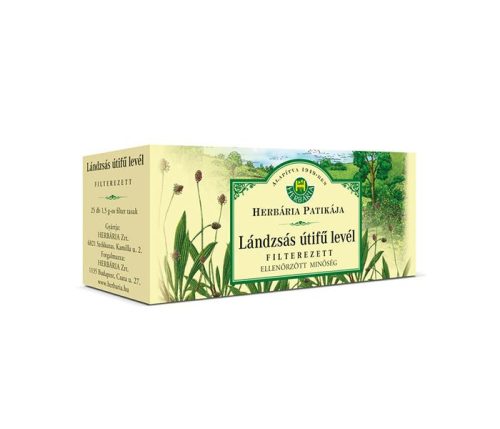 Herbária lándzsás útifű levél filteres 25*1,2 g - Bio és natúr étrendkiegészítők