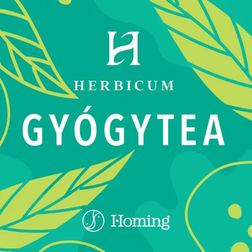 FITODRY GYÜMÖLCSTEA VADCSERESZNYE 100G - Bio és natúr élelmiszerek