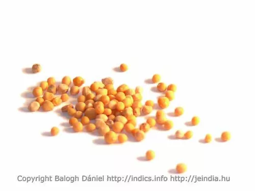 Herbatrend fehér mustármag 100g - Bio és natúr élelmiszerek