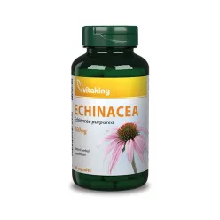 Vitaking echinacea kapszula 90 db - Bio és natúr étrendkiegészítők