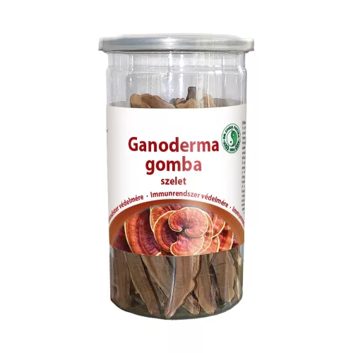 Dr.chen ganoderma gomba szelet 30 g – Gyógygomba termék