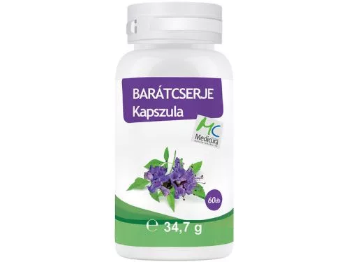 Medicura Barátcserje Extraktum 240mg 60 db - 