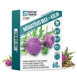 Natur Tanya® MÁRIATÖVIS MAX + KOLIN - Maximális mennyiségű szilimarin, kolinnal a máj és az epe – Gyomor, emésztés