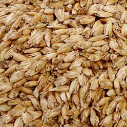 Prana tönkölyhéj 500 g - Bio és natúr kozmetikumok