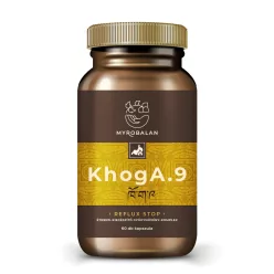 Myrobalan khoga.9 gyomorégés, reflux elleni gyógynövény-komplex vegán kapszula 60 db Ingyenes szállítással!!! - 