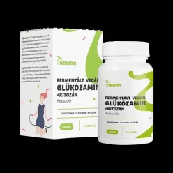 Netamin Fermentált Vegán Glükozamin + Kitozán kapszula 90x - 