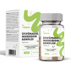 Netamin útifű maghéj mikrobiom komplex kapszula 120 db – Gyomor, emésztés