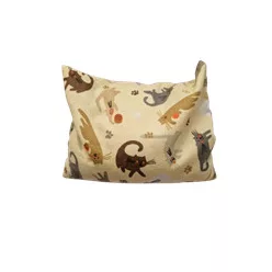 Parajdi só kincsek parajdi fülpárna 400g 1 db