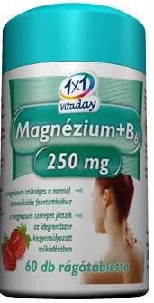 1x1 vitaday magnézium+b6 250mg rágótabletta epres 45 db - Bio és natúr étrendkiegészítők
