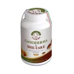 Fogarasi ganoderma&shii-take kapszula 90 db - Bio és natúr étrendkiegészítők