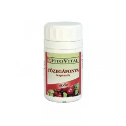 FITOVITAL TŐZEGÁFONYA KIVONAT KAPSZULA 60 db - Bio és natúr étrendkiegészítők