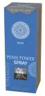 HOT Shiatsu Penis Power - stimuláló intim spray férfiaknak (30 ml) - Bio és natúr intim termékek