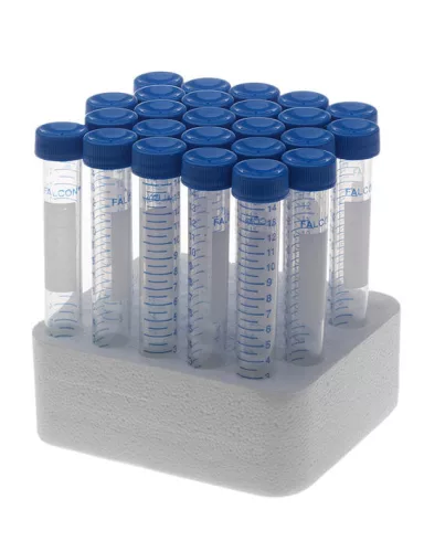 Shunga - melegítő hatású masszázsolaj - vanília (100ml) - Bio és natúr intim termékek