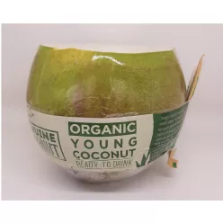 Genuine Coconut Friss Fiatal Zöld Kókusz 1db