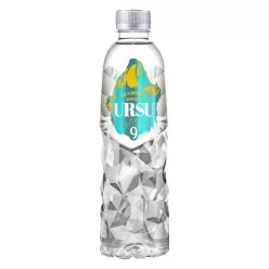 Cristiano Ronaldo-URSU9 ásványvíz 500 ml DRS