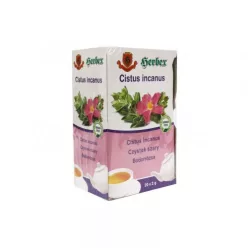 Herbex bodorrózsa tea 20x2 g 40 g - Bio és natúr élelmiszerek