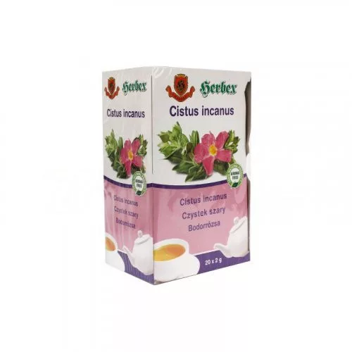 Herbex bodorrózsa tea 20x2 g 40 g - Bio és natúr élelmiszerek