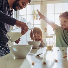 Tejtermékek, tejtermék helyetesítők