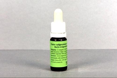 Bach virágeszencia vörös vadgesztenye 10 ml