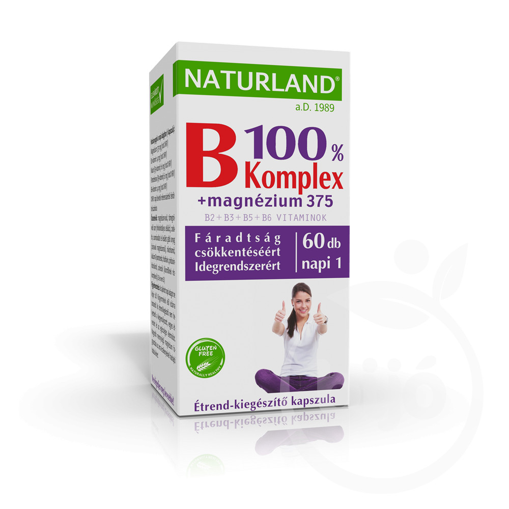 NATURLAND B 100% KOMPL.+MG 375 KAPSZ 60D akciós termékkép 1